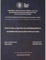 Perché studiare scienze politiche, economiche e sociali nel nostro ateneo: Blu Goffrato Bookservice Urbino