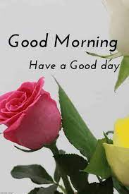 Check spelling or type a new query. Good Morning 1575471735 Good Morning Images Flowers Good Morning Flowers Good Morning Images