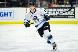 Today, we are going to dive into one of the top defenders available in the 2021 draft, canadian lhd owen power. 21 In 2021 An Early Look At The Top 21 Prospects In The 2021 Nhl Draft 1 10 Silver Seven