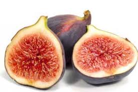 Figs has donated to healthcare providers in need in over 35 countries. Is There A Female Fig Wasp Stuck In My Teeth Are Figs Really Full Of Baby Wasps Howstuffworks