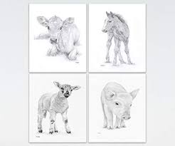 Sketches Of Baby Animals Bakom