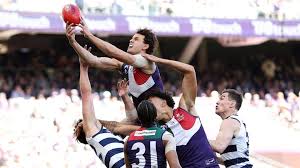 Fremantle Dockers defender Heath Chapman thrives in shock role