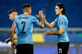 Сборная аргентины выиграла у эквадора в матче 1/4 финала кубка америки. Pzhrnhoecbt0jm