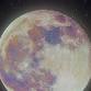 Guided Full Moon Meditation - The Beaver Moon! event image
