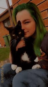 Lost dog with limp near Gaslight