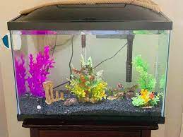 Let us deliver louisiana to you! How Do You Set Up A Crayfish Tank Aquarium Set Up