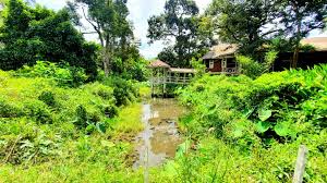 No booking fees · hostels · save 10% with genius Batu 19 Sungai Lui Hulu Langat Ejen Hartanah Tanah Untuk Dijual Rumah Untuk Dijual Jual Rumah Jual Tanah Ejen Tanah Di Cheras Ampang Kajang Bangi Semenyih Hulu Langat Petaling