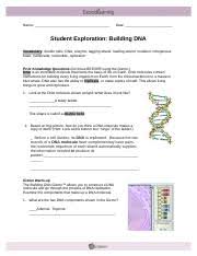 Well, really what kind of odds did he give you. Building Dna Gizmo Completed Name Date Student Exploration Building Dna Vocabulary Double Helix Dna Enzyme Mutation Nitrogenous Base Nucleoside Course Hero