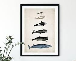Beach inspired decor is a fun and creative way to design your bathroom. Whale Bathroom Decor Etsy