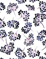 Summer is almost gone but there's still time to save! Berries Nature Food Design Print Repeat Pattern Colour Floral Pattern Design Prints Pattern Illustration