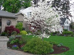 Doing up your front garden doesn't have to cost a lot or take a lot of time and effort to plan. Front Yard Landscaping Burlington Dutchman S Landscaping