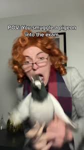 Jack Harrison-Holt (@jackharrisonholt)