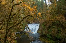 Up to 90 days of daily highs, lows, and precipitation chances. Silver Falls State Park Hike Oregon