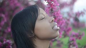 Journey With You by Jasmine Tompkins