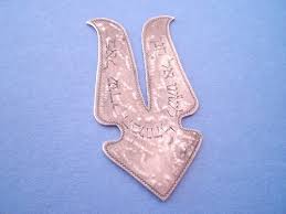 Image result for circumcision shield