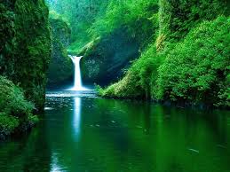 Tenemos una sección especial dedicada para todos aquellos que les gusta tener un fondo novedoso y original. Http Link Tl Ppql Waterfall Wallpaper Waterfall Beautiful Waterfalls