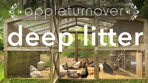 Goose house welcome's international director, matt vega. Build A Goosehouse And Keep Geese To Create A Resilient Farm At Appleturnover Youtube
