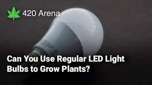 Picking the best grow light can be difficult for new growers. Can You Use Regular Led Light Bulbs To Grow Plants