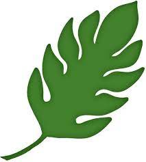 Moldes De Hojas De Selvaa Color Safer Browser Yahoo Leaf Template Paper Flowers Giant Paper Flowers