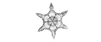 Snowflake bentley is a biographical portrait of a farm boy who loved snowflakes. Marcus Sedgwick On The Enigma Of Snowflakes Waterstones Com Blog