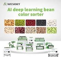 Soybean Color Sorting & Grading Machine Farm Machine for Efficient Soybean  Sorting