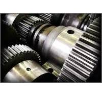 Acme Gear Co. | LinkedIn