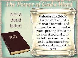 Word of Grace Bible Church