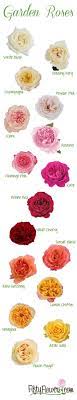 Wedding Planning Tips Everything You Need To Know About Flowers Modwedding Gorgeous Gardens Flower Garden Beautiful Flowers