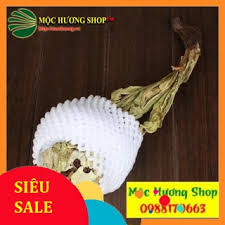 Đây là thảo dược lâu năm quý hiếm thuộc chi hoa cúc, có tính nhiệt cao, giàu protein cùng nhiều loại axit amin, giúp tiêu độc, bồi bổ sinh lực đàn ông, tốt cho người bệnh. Thien SÆ¡n Tuyáº¿t Lien Bong 25gr Shopee Viá»‡t Nam