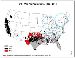 Distance from oregon to georgia the total driving distance from oregon to georgia is 2,632milesor 4 236kilometers. History Wild Pig Info Mississippi State University Extension Service