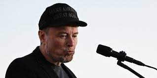 Senators Call for DOJ Probe Into Elon Musk's $1 Million Giveaway - Business  Insider