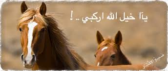كرامة الفرس الاصيل ركوبها رياضة ركوب الخيل