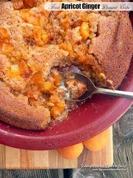 Fresh Apricot Ginger Peasant Cake Sumptuous Spoonfuls Recipe Recipes Food Scrumptious Desserts