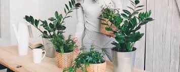 Find here flower pots suppliers, manufacturers, wholesalers, traders with flower pots prices for buying. Homemade Plant Food To Keep Your Plants Happy Proflowers
