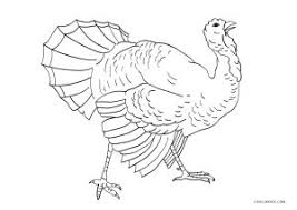 Simple turkey picture for preschoolers. Free Printable Turkey Coloring Pages For Kids