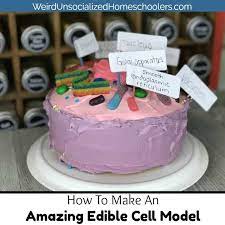 Gue scissors tape knife (only if needed) How To Make An Edible Cell Model Weird Unsocialized Homeschoolers