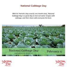 Cabbage has been cultivated for more than 4,000 years and domesticated for over 2,500 years. National Cabbage Day February 17 Cabbage National Wacky Holidays