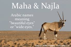 More On Maha Najla Arabic Baby Names Baby Names Names With Meaning
