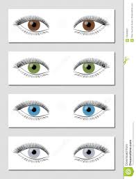Eye Color Chart Brown Green Blue Gray Stock Vector