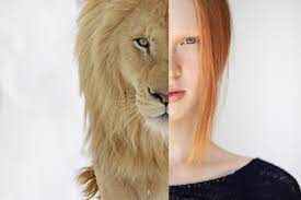 Quiz What Animal Are You What Animal Are You Animal Quiz Animals