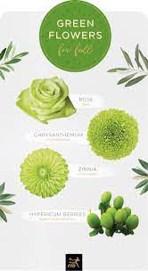 Maybe you would like to learn more about one of these? 20 Types Of Green Flowers Ftd Com