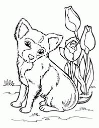 You can find these fantastic animals here. Husky Puppy Coloring Pages Coloring Home