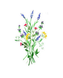 In this watercolor tutorial, i will teach you how to paint loose style wildflowers. Wildflowers Watercolor Wedding Style