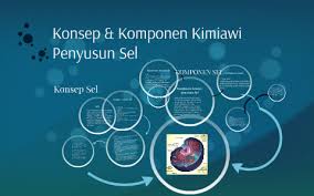 Hewan yang tubuhnya tidak memiliki kepala atau ekor didefinisikan memiliki jaring saraf, yang jaring seperti pengaturan sel saraf yang memperpanjang seluruh tubuh. Konsep Komponen Kimiawi Penyusun Sel By Andhika Rama