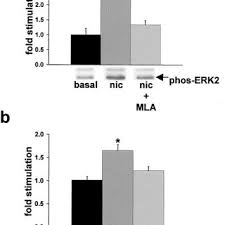 Marcus Westerman's research works