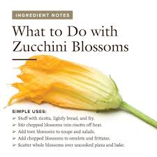 Check spelling or type a new query. Cook S Illustrated On Instagram Here S What To Do With Zucchini Blossoms Tap The Link In Our P Zucchini Blossom Recipes Zucchini Blossoms Fresh Herb Recipes