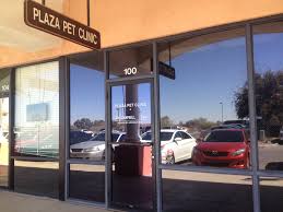 Ann campbell focuses on care of small animals. Http Plazapetclinicaz Com