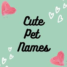 Once a couple has kids, they occasionally start addressing each other as their child's mom or dad. The Ultimate List Of Cute Pet Names For Your Boyfriend Or Girlfriend Pairedlife