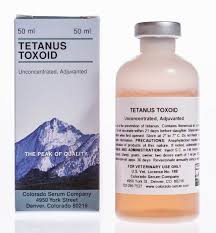 Image result for Tetanus