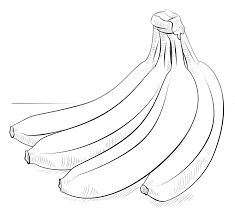 Sweet juicy fruits are not only a favorite food children love to eat, they're fun to color. Banana Coloring Pages Best Coloring Pages For Kids